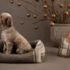 Accessori_in_lana_per_cani_2.8_design_for_dogs