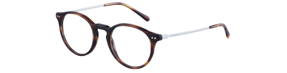 Nuovi occhilali Polo Ralph Lauren Eywear Collezione Primavera-Estate 2021 PH 2227