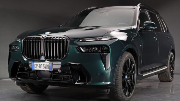 BMW X7 xDrive40d personalizzata Poldo Dog Couture