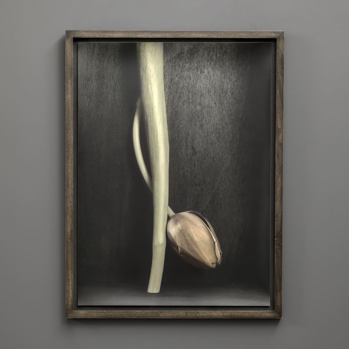 Mostra_Ingar_Krauss_DEEP_ BLOSSOM_Cramum_Gaggenau