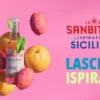 Nuovo-SANBITTER-Sicilia-