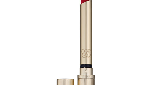 Estée Lauder Pure Color Explicit Slick Matte Lipstick